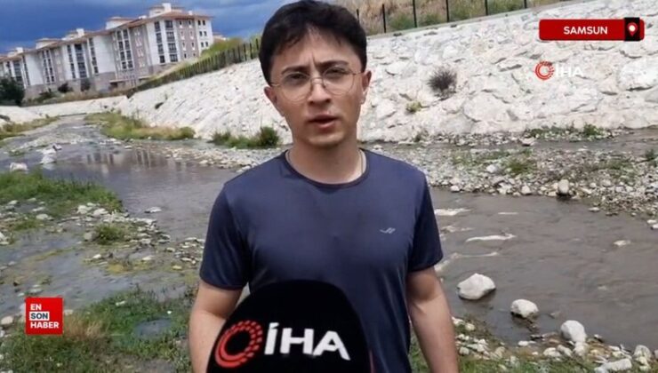 Samsun’da şimdi belirlenemeyen bir nedenle 26 kaz telef oldu