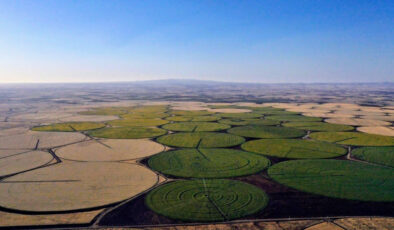 Şanlıurfa’da sarıya boyanan yerler yeni evlenenlerin gözdesi