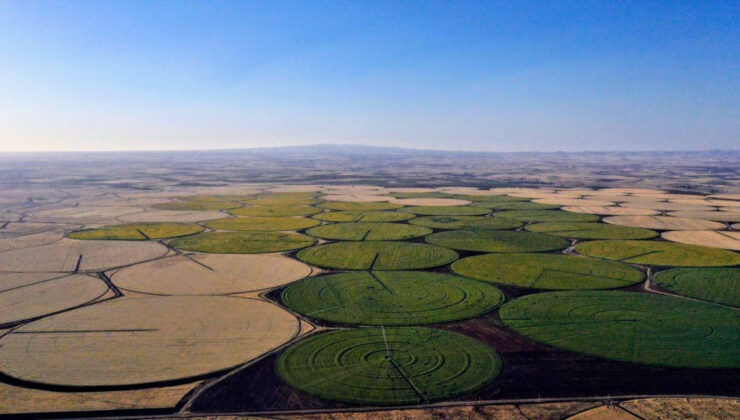 Şanlıurfa’da sarıya boyanan yerler yeni evlenenlerin gözdesi
