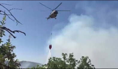 Şırnak’taki orman ve örtü yangını denetim altına alındı