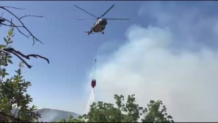 Şırnak’taki orman ve örtü yangını denetim altına alındı