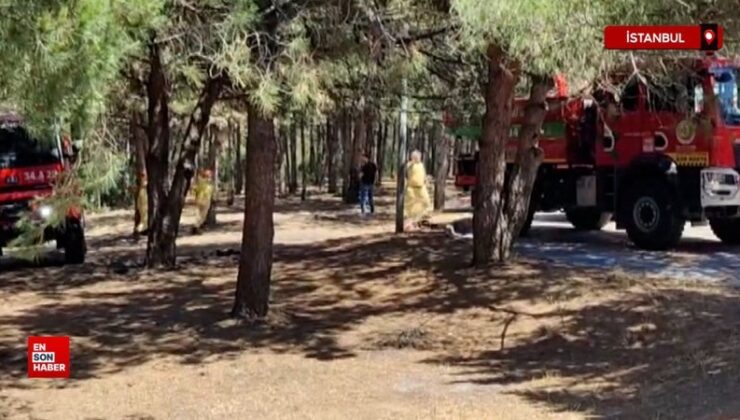 Sultangazi Kent Ormanı’nda yangın çıktı