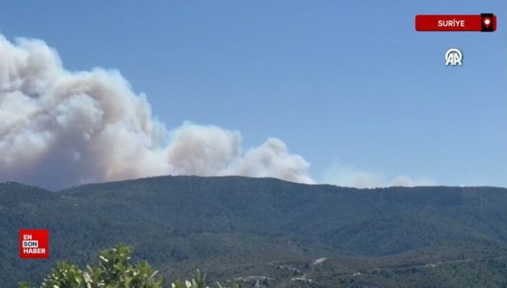 Suriye’nin Lazkiye kentinde orman yangını çıktı