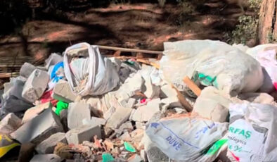 Tabiat Rutkay’ın eşi isyan etti: Bu orman yangınları neden mi çıkıyor?