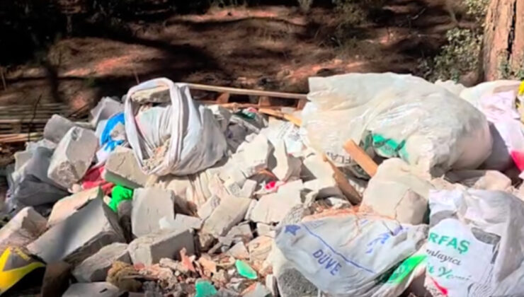 Tabiat Rutkay’ın eşi isyan etti: Bu orman yangınları neden mi çıkıyor?