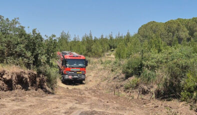 Tekirdağ’da çıkan orman yangınına havadan ve karadan müdahale