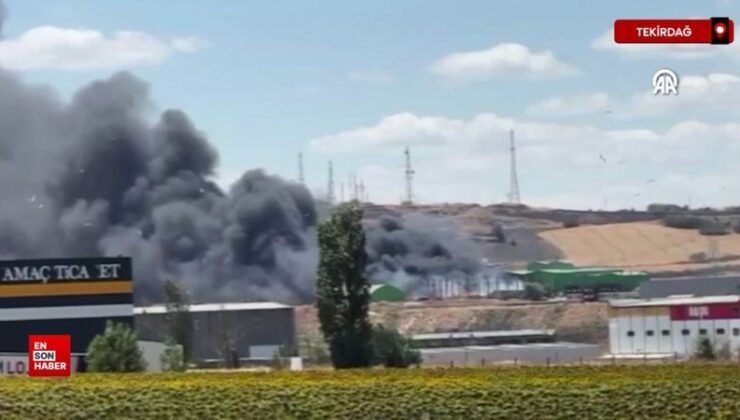 Tekirdağ’da geri dönüşüm tesisinde çıkan yangın söndürüldü