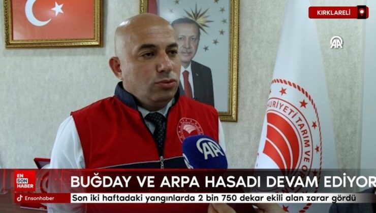 Trakya’da son iki haftadaki yangınlarda 2 bin 750 dekar ekili alan ziyan gördü