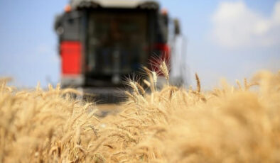 Türkiye, FAO kurul üyeliğine seçildi