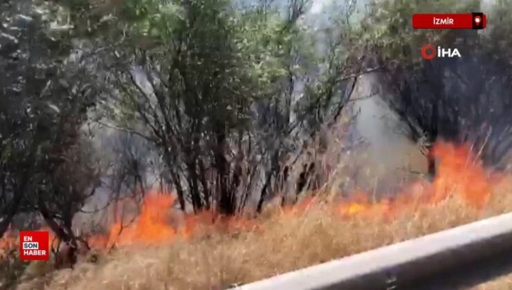 Türkiye genelinde 47 vilayette ormanlara giriş yasağı