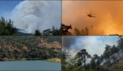 Türkiye genelinde 47 vilayette ormanlara giriş yasağı