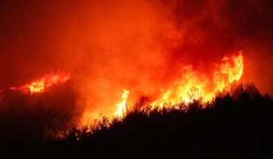 Türkiye, orman yangınlarıyla uğraş ediyor: Anlık durum haritası paylaşıldı