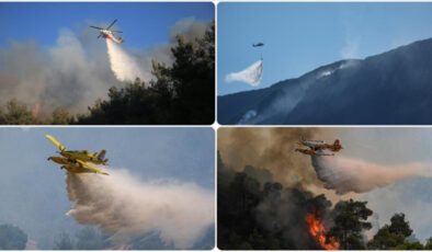 Türkiye’de haziran ayı boyunca 612 orman yangını çıktı