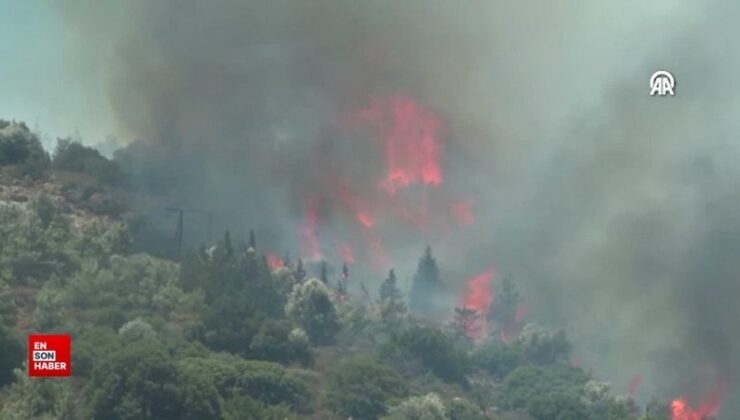 Türkiye’nin birçok bölgede yangınlarla çaba ettiği manzaraları