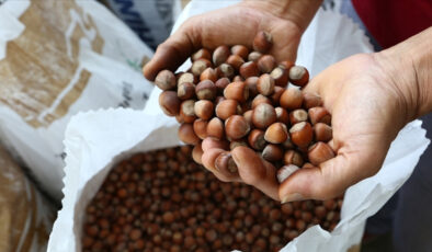 Türkiye’nin fındık ihracatı başarısı: 10 ayda 2,3 milyar dolarlık gelir