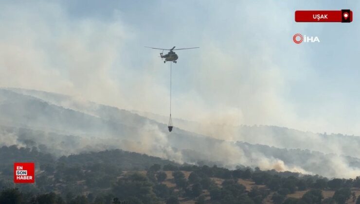 Uşak’ta tarım yerinde başlayan yangın meşelik alana sıçradı