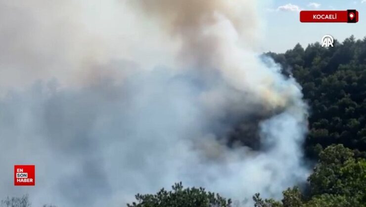 Vali Aktaş: Orman yangını, yerleşim yerlerine varmadan durduruldu