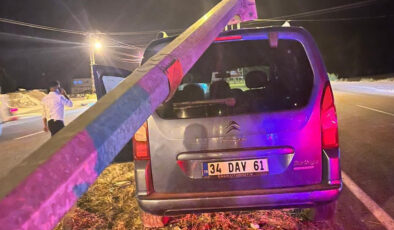 Van’daki kazada kamyonet, aydınlatma direğine çarptı