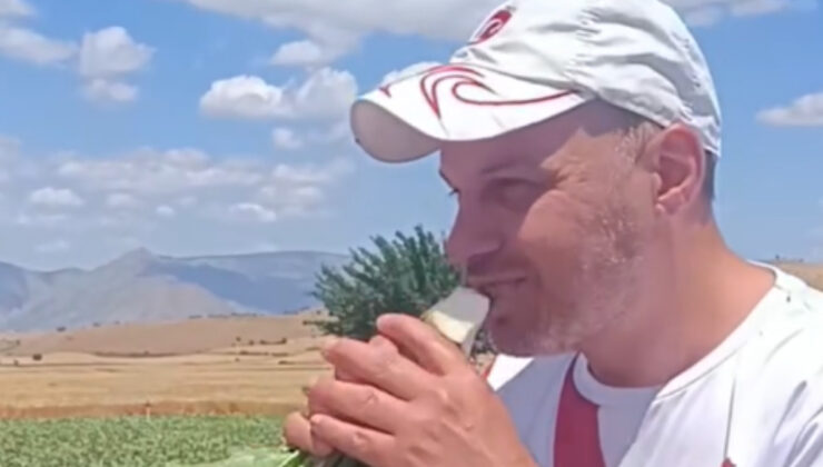 Yozgat’ta birinci kere şeker pancarı tadan Bulgar turistten renkli reaksiyonlar