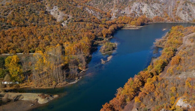 65 yaş üzeri bayanlara jest: O hizmet artık ücretsiz