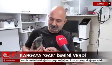 Adana’da yaralı halde bulduğu kargayı sıhhatine kavuşturup, tabiata saldı
