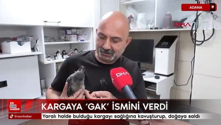 Adana’da yaralı halde bulduğu kargayı sıhhatine kavuşturup, tabiata saldı