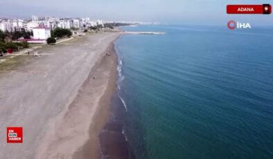 Akdeniz’de deniz suyu sıcaklığı arttı zehirli balıklar geldi