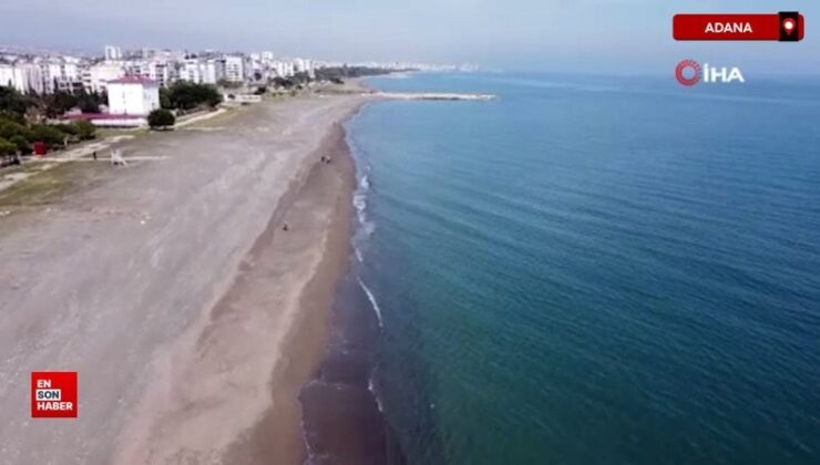 Akdeniz’de deniz suyu sıcaklığı arttı zehirli balıklar geldi