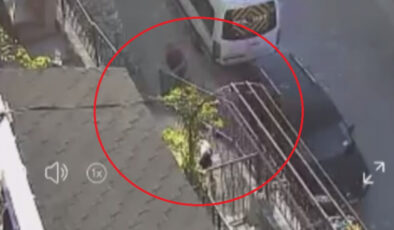 Amasya’da kendisine havlayan köpeği taş ve sopayla dövdü