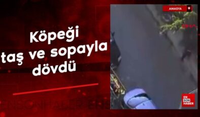 Amasya’da köpeği taş ve sopayla dövdü