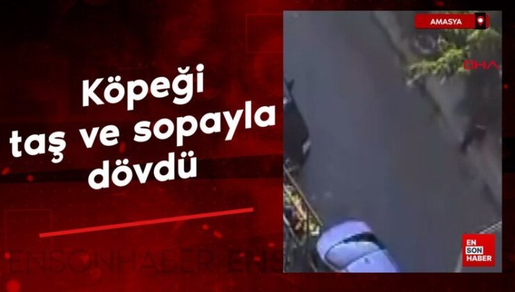 Amasya’da köpeği taş ve sopayla dövdü