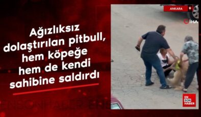 Ankara’da ağızlıksız dolaştırılan pitbull, hem köpeğe hem de kendi sahibine saldırdı