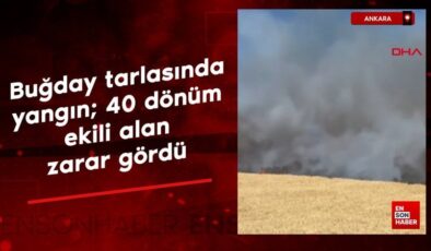Ankara’da buğday tarlasında yangın; 40 dönüm ekili alan ziyan gördü