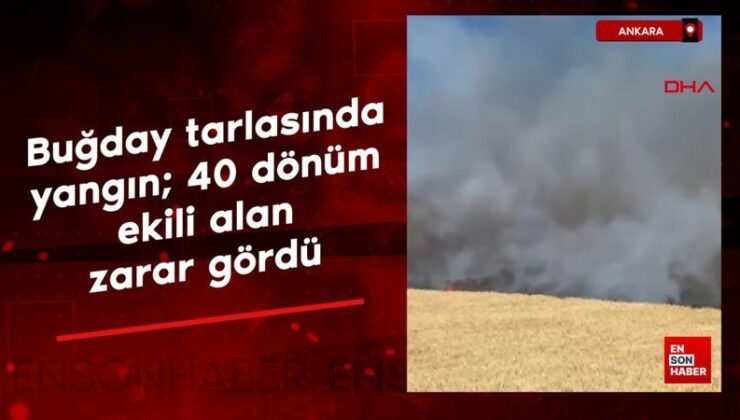 Ankara’da buğday tarlasında yangın; 40 dönüm ekili alan ziyan gördü