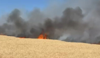 Ankara’da buğday tarlasında yangın