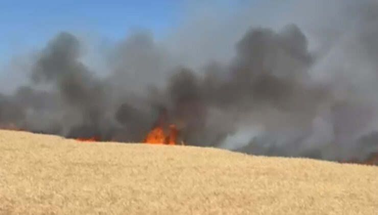 Ankara’da buğday tarlasında yangın