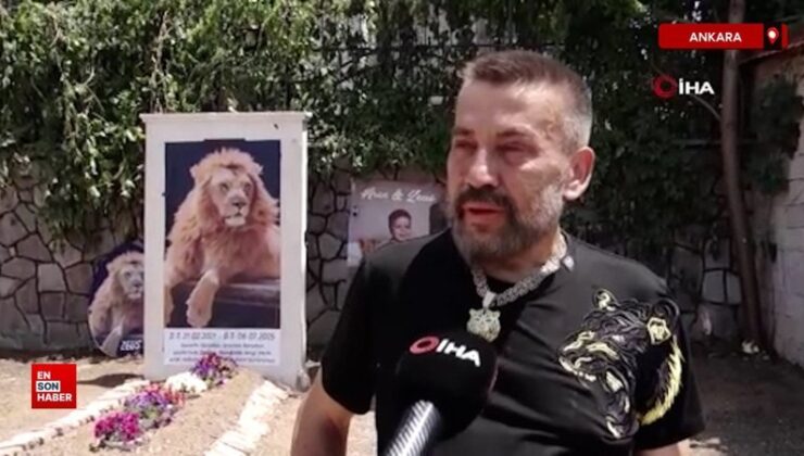 Ankara’da öldürülen aslanın sahibi konutunun önüne temsili mezar yaptırdı