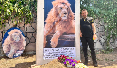 Antalya’da çiftçiye saldıran aslan öldürülmüştü: Sahibi temsili mezar yaptırdı