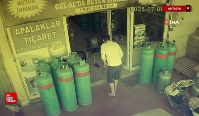 Antalya’da dükkana giren yılan esnafı sokağa fırlattı