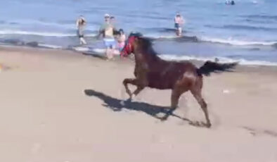 Antalya’da kıyıdaki başıboş at yola çıktı: Araba çarptı