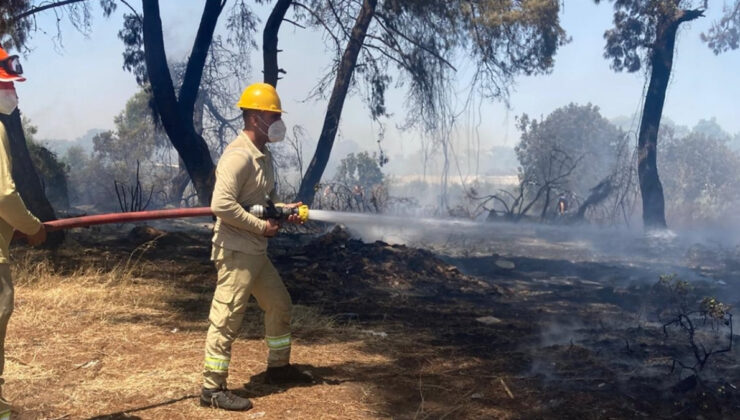 Antalya’daki orman yangını denetim altında