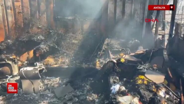 Antalya’daki orman yangını denetim altında