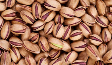 Antep fıstığı kabuklarını çöpe değil saksıya atın, haşere sıkıntısından kurtulun…