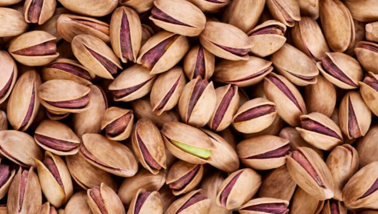 Antep fıstığı kabuklarını çöpe değil saksıya atın, haşere sıkıntısından kurtulun…