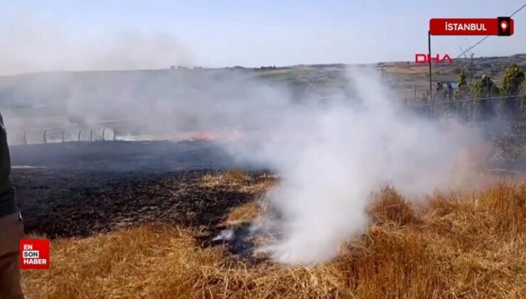 Arnavutköy’de tarlada çıkan yangına, vatandaşlar hortumla müdahale etti