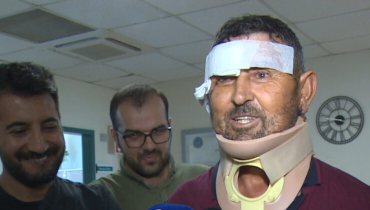 Aslanın saldırısına uğrayan adam taburcu oldu: Sivrisinek beklerken aslan geldi