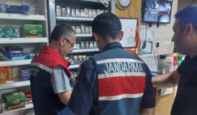 Aydın’da jandarma takımlarının kontrolleri sürüyor