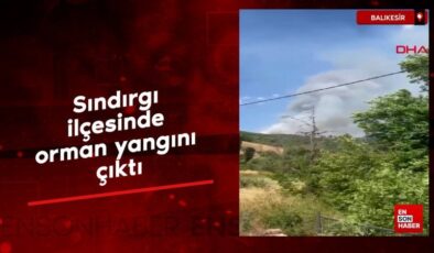 Balıkesir’de orman yangını çıktı