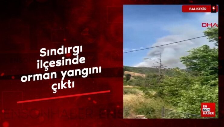 Balıkesir’de orman yangını çıktı