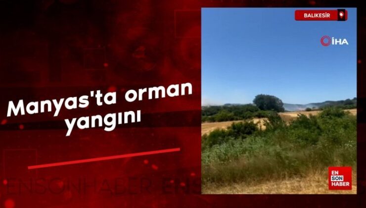 Balıkesir’de orman yangını: Havadan müdahale sürüyor